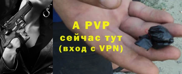 тгк Пересвет