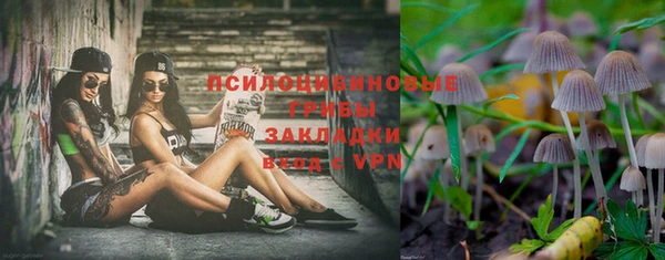 твердый Пестово