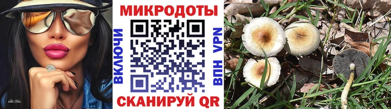 Галлюциногенные грибы мухоморы  Урень 